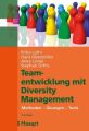 Teamentwicklung mit Diversity-Management