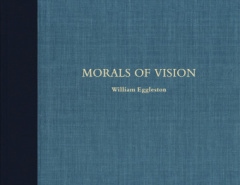 Morals of Vision