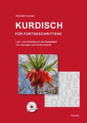 Kurdisch für Fortgeschrittene