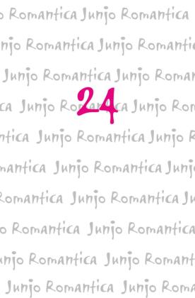 Junjo Romantica. Bd.24