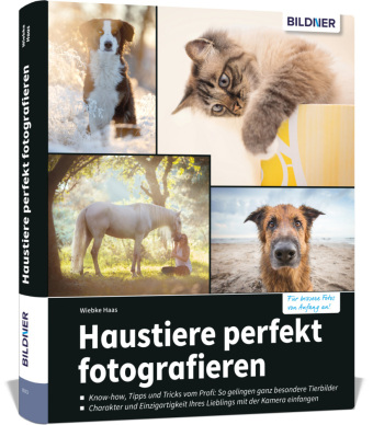 Haustiere perfekt fotografieren