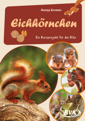 Eichhörnchen