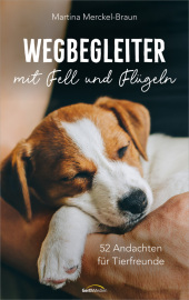 Wegbegleiter mit Fell und Flügeln