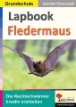 Lapbook Fledermaus