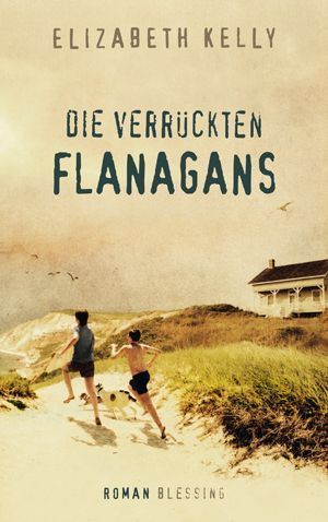 Die verrückten Flanagans