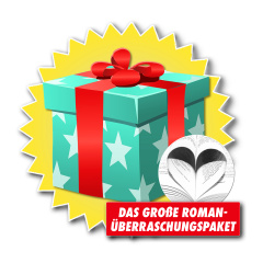 Das große Roman-Überraschungspaket (4 Bücher)