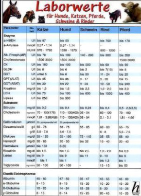 Laborwerte für Hunde, Katzen, Pferde, Schweine & Rinder, Tierheilkunde-Karte