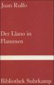 Der Llano in Flammen