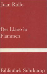 Der Llano in Flammen