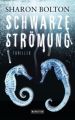 Schwarze Strömung