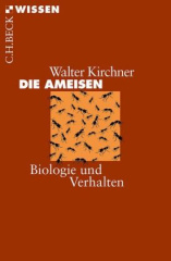 Die Ameisen