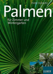 Palmen für Zimmer und Wintergarten
