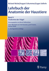 Anatomie der Vögel