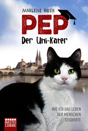 Pep, der Uni-Kater