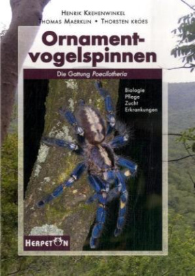 Ornamentvogelspinnen