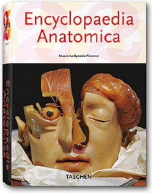 Encyclopaedia Anatomica