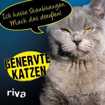 Genervte Katzen