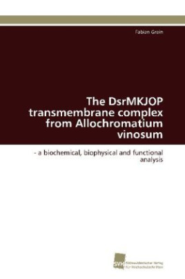 The DsrMKJOP transmembrane complex from Allochromatium vinosum